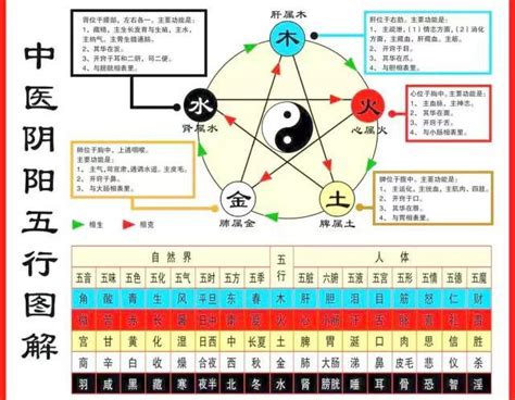 中醫五行歸類表|中醫人體五行歸類